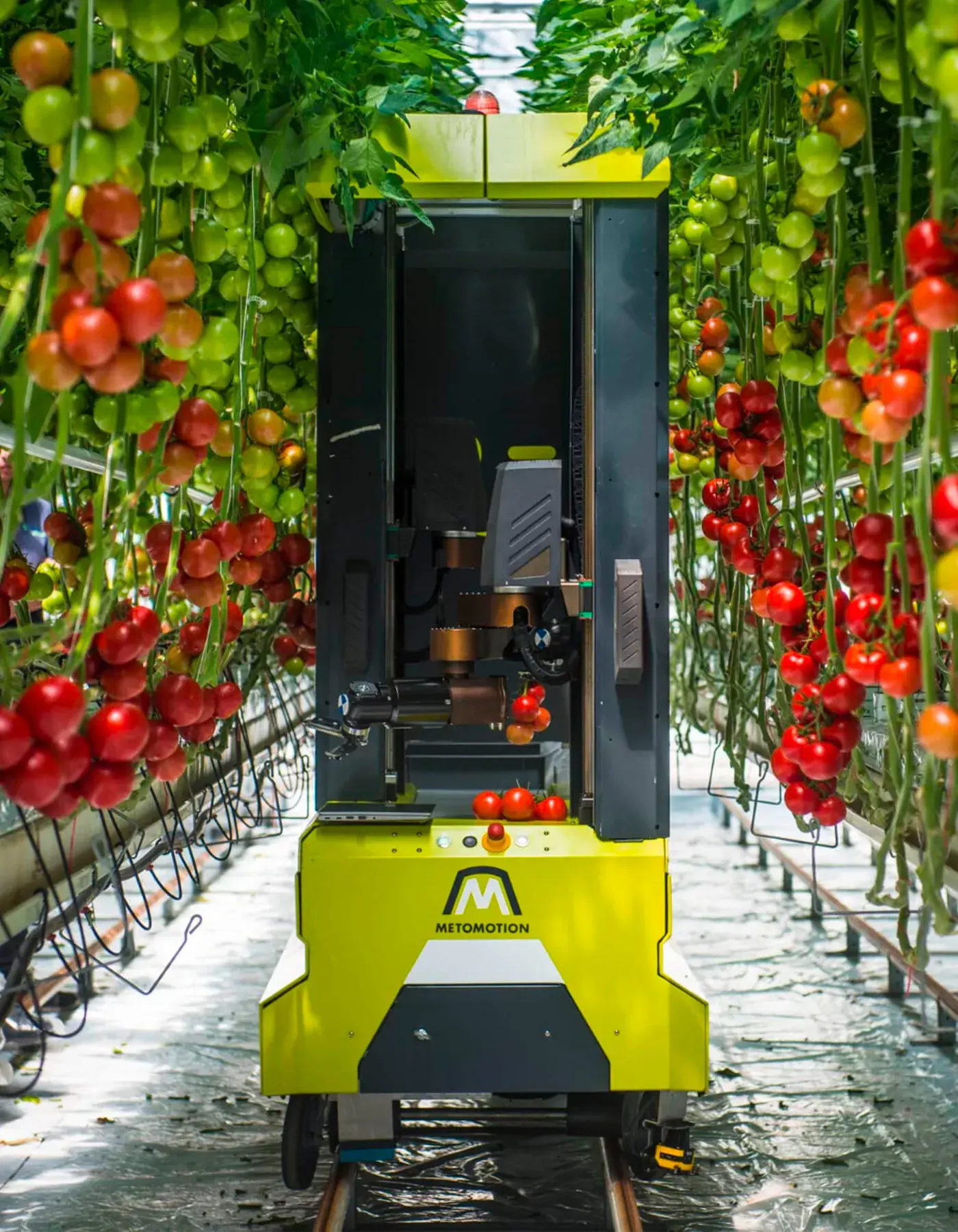 Navus homepage techfood